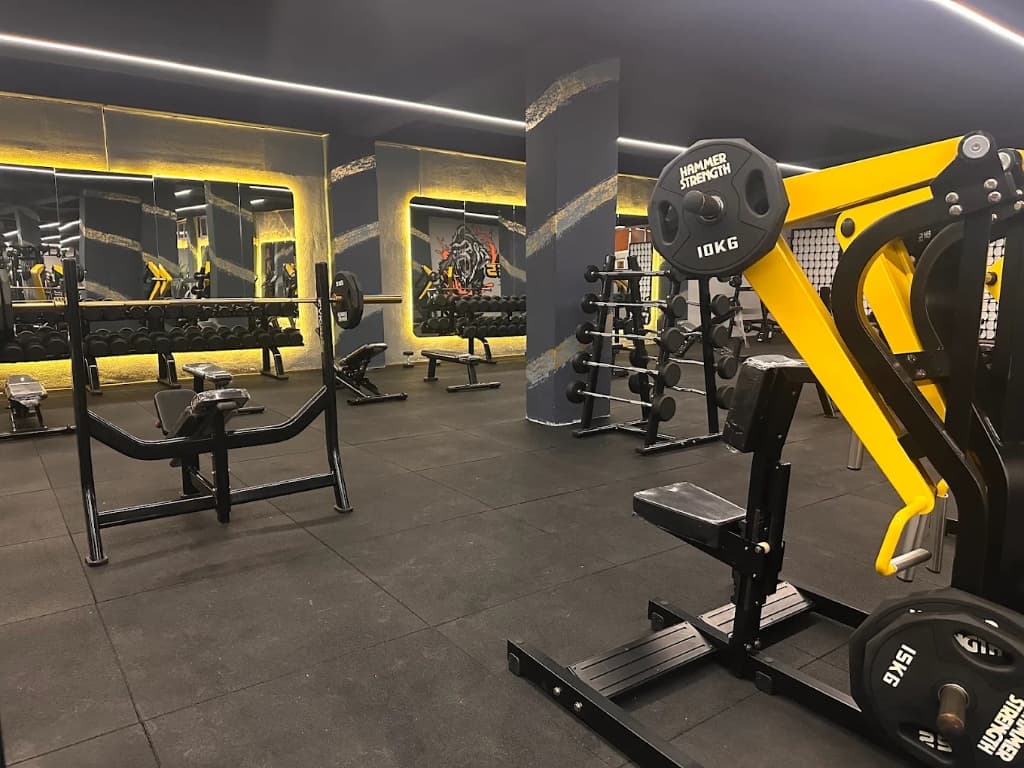 Hammer Strength istasyonları ve dambıl rafları